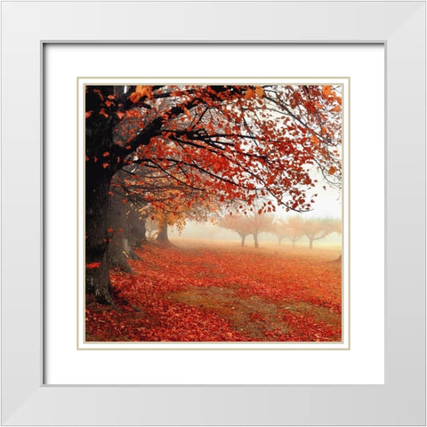 All For Show White Modern Wood Framed Art Print with Double Matting by Weisz, Irene