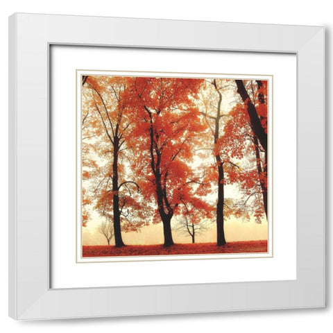 Coral Woods White Modern Wood Framed Art Print with Double Matting by Weisz, Irene