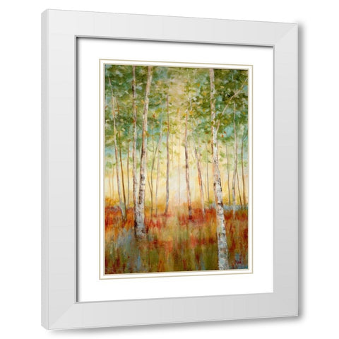 Birch Woods White Modern Wood Framed Art Print with Double Matting by Nan