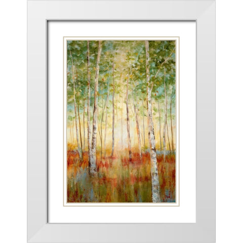 Birch Woods White Modern Wood Framed Art Print with Double Matting by Nan