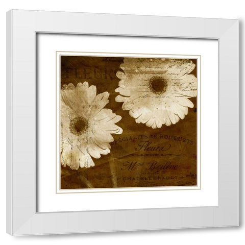 Daisy White Modern Wood Framed Art Print with Double Matting by Craven, Katrina