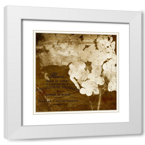 Hydrangea White Modern Wood Framed Art Print with Double Matting by Craven, Katrina