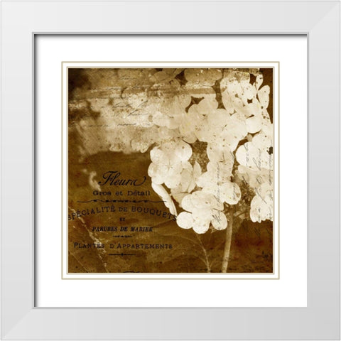 Hydrangea White Modern Wood Framed Art Print with Double Matting by Craven, Katrina