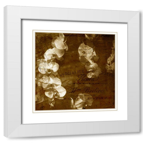 Orchid White Modern Wood Framed Art Print with Double Matting by Craven, Katrina