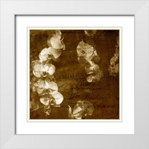 Orchid White Modern Wood Framed Art Print with Double Matting by Craven, Katrina