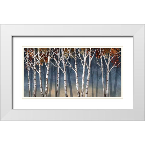 Birch Shadows White Modern Wood Framed Art Print with Double Matting by Knutsen, Conrad