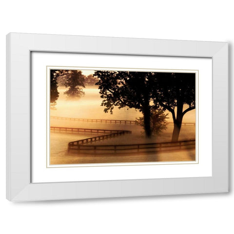 Kentucky Morning White Modern Wood Framed Art Print with Double Matting by Delimont, Danita