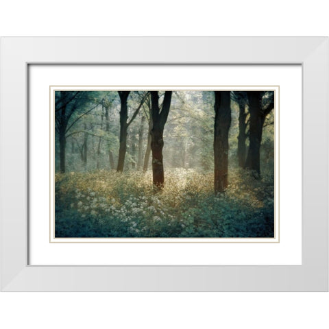 Foret De White Modern Wood Framed Art Print with Double Matting by Van de Goor, Lars