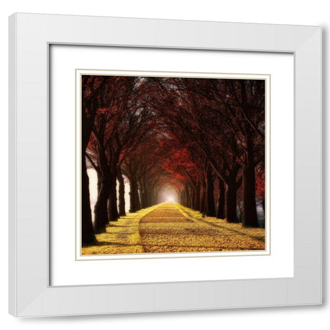 Wonder Curve White Modern Wood Framed Art Print with Double Matting by Van de Goor, Lars