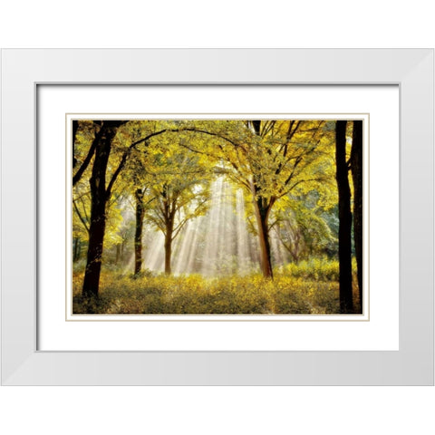 Dressed To White Modern Wood Framed Art Print with Double Matting by Van de Goor, Lars
