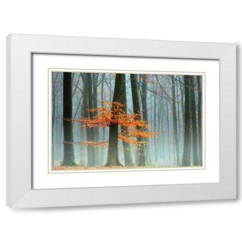 Last Leaves White Modern Wood Framed Art Print with Double Matting by Van de Goor, Lars