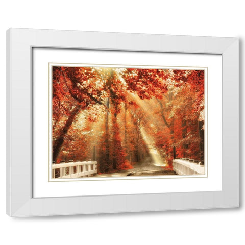 Red for Rest White Modern Wood Framed Art Print with Double Matting by Van de Goor, Lars
