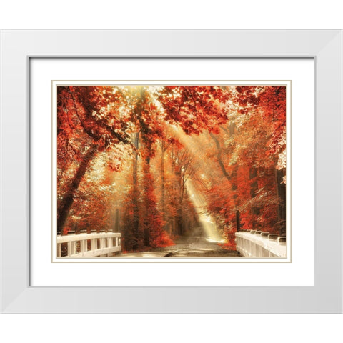 Red for Rest White Modern Wood Framed Art Print with Double Matting by Van de Goor, Lars