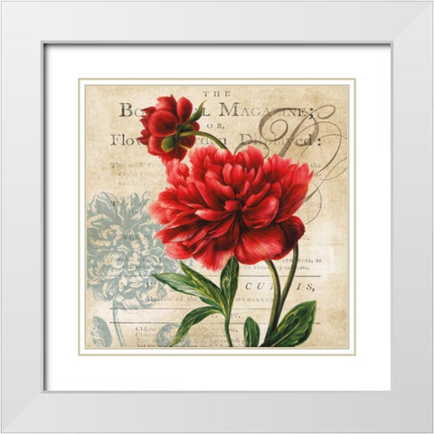 The Botanical White Modern Wood Framed Art Print with Double Matting by Robinson, Carol