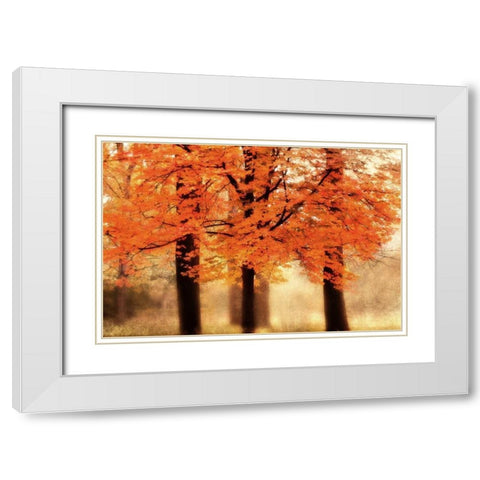 Three Trees White Modern Wood Framed Art Print with Double Matting by Weisz, Irene
