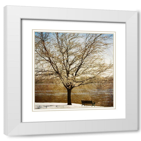 Lonely Tree in the Sun White Modern Wood Framed Art Print with Double Matting by Craven, Katrina
