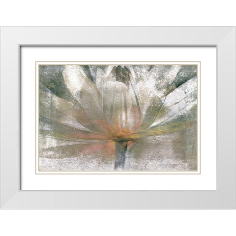 Lily Light White Modern Wood Framed Art Print with Double Matting by Calascibetta, Mike