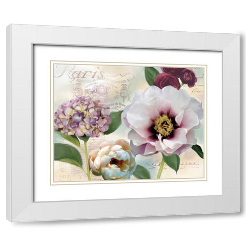 Soft Petals I White Modern Wood Framed Art Print with Double Matting by Robinson, Carol