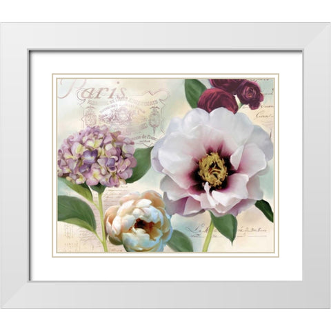 Soft Petals I White Modern Wood Framed Art Print with Double Matting by Robinson, Carol