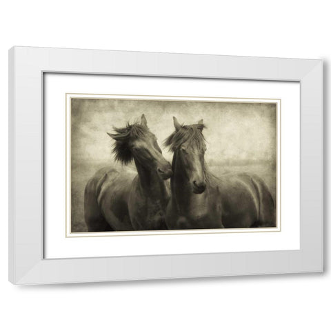 Horses Dont Whisper White Modern Wood Framed Art Print with Double Matting by Van de Goor, Lars