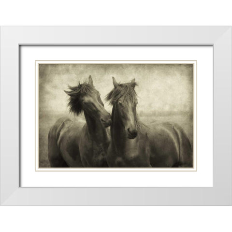 Horses Dont Whisper White Modern Wood Framed Art Print with Double Matting by Van de Goor, Lars