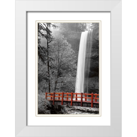 Silver Falls White Modern Wood Framed Art Print with Double Matting by Delimont, Danita
