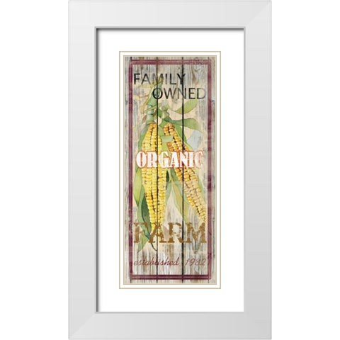Corn White Modern Wood Framed Art Print with Double Matting by Robinson, Carol