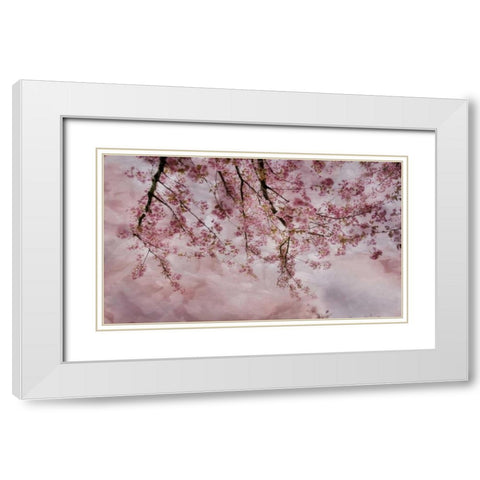 Joy of Spring White Modern Wood Framed Art Print with Double Matting by Weisz, Irene