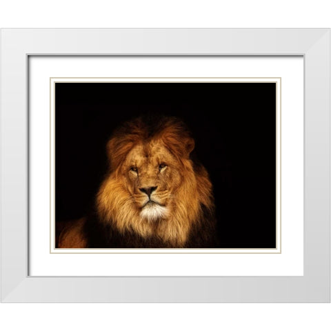 Look My Way White Modern Wood Framed Art Print with Double Matting by Van de Goor, Lars