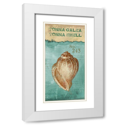 Tonna Shell White Modern Wood Framed Art Print with Double Matting by Knutsen, Conrad