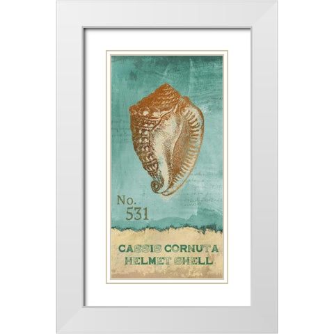 Helmet Shell White Modern Wood Framed Art Print with Double Matting by Knutsen, Conrad