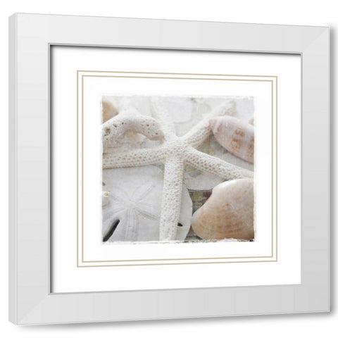 Sanibel II White Modern Wood Framed Art Print with Double Matting by Jackson, Susan