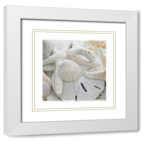 Sanibel III White Modern Wood Framed Art Print with Double Matting by Jackson, Susan