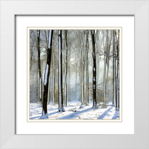 Enchanted Forest White Modern Wood Framed Art Print with Double Matting by Van de Goor, Lars