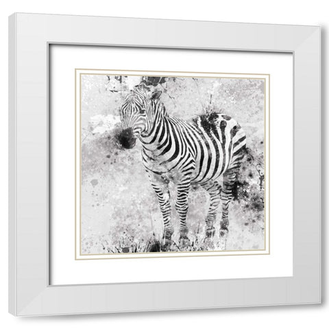 Zebra I White Modern Wood Framed Art Print with Double Matting by Robinson, Carol
