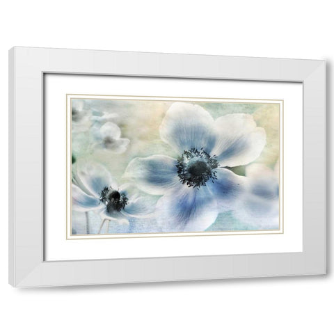 Anemone Cheer White Modern Wood Framed Art Print with Double Matting by Weisz, Irene