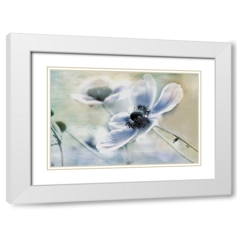 Anemone Whisper White Modern Wood Framed Art Print with Double Matting by Weisz, Irene