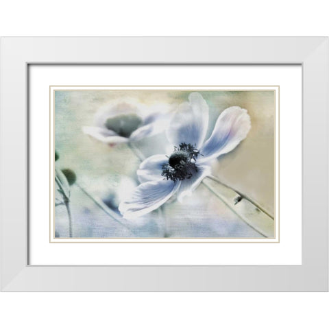 Anemone Whisper White Modern Wood Framed Art Print with Double Matting by Weisz, Irene