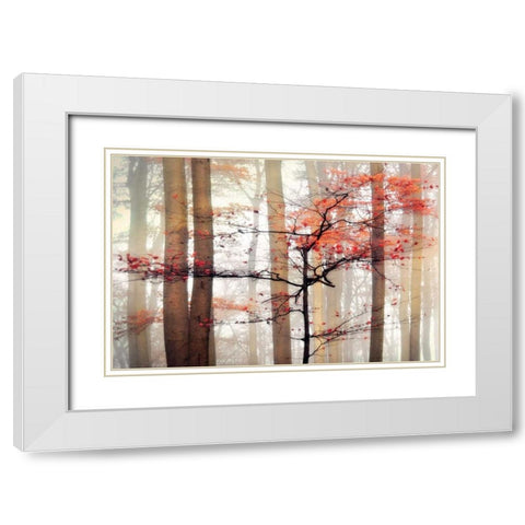 Orange Awakening White Modern Wood Framed Art Print with Double Matting by Weisz, Irene
