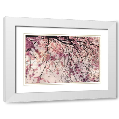 Spring Song White Modern Wood Framed Art Print with Double Matting by Weisz, Irene