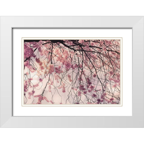 Spring Song White Modern Wood Framed Art Print with Double Matting by Weisz, Irene