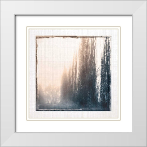 Foggy Light IV White Modern Wood Framed Art Print with Double Matting by Robinson, Carol