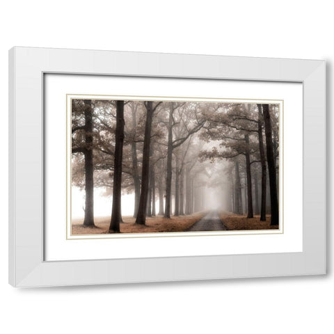 Misty Road White Modern Wood Framed Art Print with Double Matting by Van de Goor, Lars