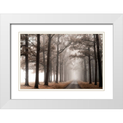 Misty Road White Modern Wood Framed Art Print with Double Matting by Van de Goor, Lars
