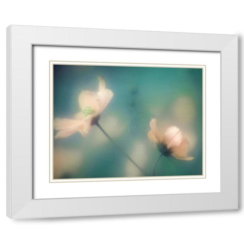 Blush Moment White Modern Wood Framed Art Print with Double Matting by Delimont, Danita