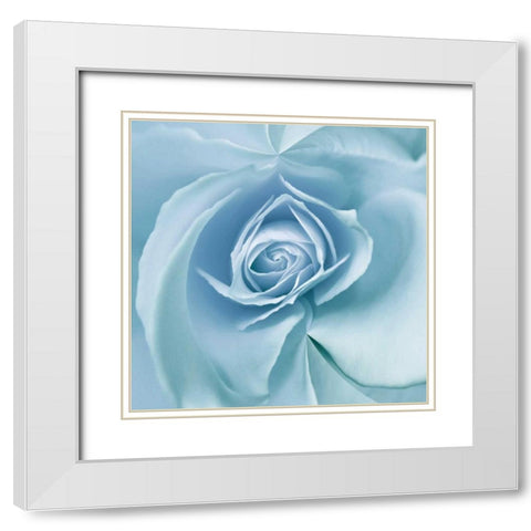 Blue Embrace White Modern Wood Framed Art Print with Double Matting by Delimont, Danita