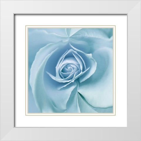 Blue Embrace White Modern Wood Framed Art Print with Double Matting by Delimont, Danita