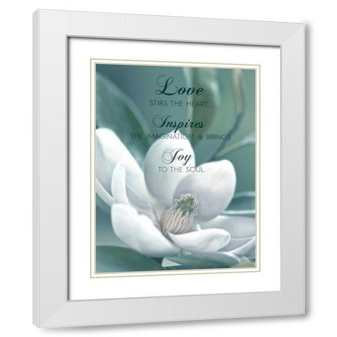 Joy To The Soul White Modern Wood Framed Art Print with Double Matting by Delimont, Danita