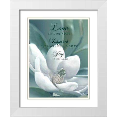 Joy To The Soul White Modern Wood Framed Art Print with Double Matting by Delimont, Danita