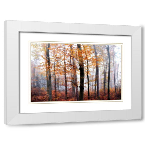 Lost in the Forest White Modern Wood Framed Art Print with Double Matting by Weisz, Irene